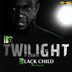 The Twilight